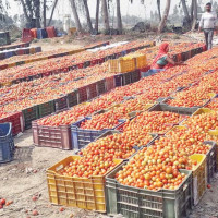 नर्सका माग के हुन् ? सम्बोधनका लागि के गर्दैछ सरकार ?