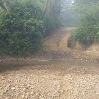 ‘नेपाल टेलिकम निर्णय गर्न स्वतन्त्र’