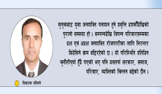 व्यवसाय प्रवर्धनबाट रोजगारी