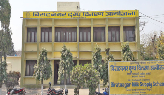 सङ्कटमा दुग्ध चिस्यान केन्द्र