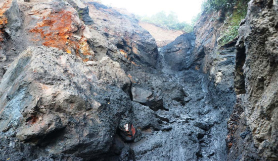 फलदायी बनोस् नयाँ वर्ष