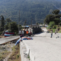 सल्यानमा मिचाहा वनस्पति व्यवस्थापन अभियान फेरि सुरु