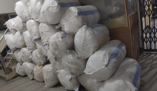 सप्तरीमा ९७८ किलो गाँजासहित ट्रक चालक पक्राउ