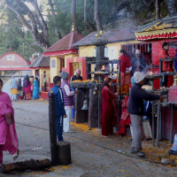 सल्यानमा मिचाहा वनस्पति व्यवस्थापन अभियान फेरि सुरु