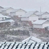 विमान दुर्घटना स्थलमा हेलिकोप्टर अवतरण, शव सङ्कलन सुरु