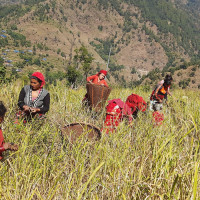 स्रष्टासँगको भेटघाटमा प्रधानमन्त्री ओली