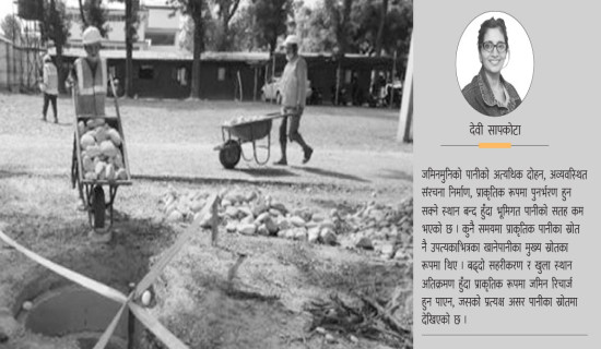 स्वरोजगारमार्फत आर्थिक विकास