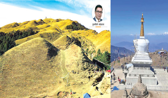 ब्युँझँदै छ शैलुङ