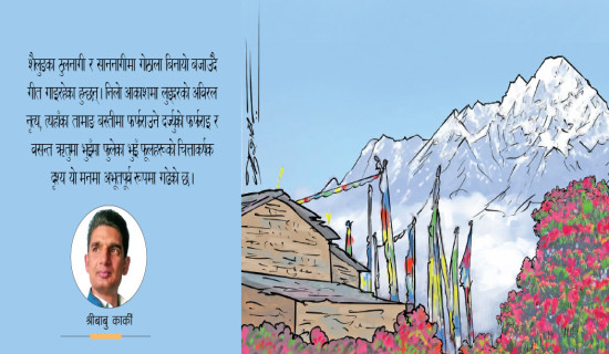 आँखामा नृत्यमग्न शैलुङ