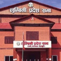 कपिलवस्तुमा आठ वडाको मतगणना सकियो