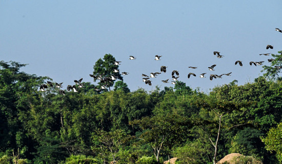 स्वास्थ्य शिविरबाट सात सय बढि लाभान्वित