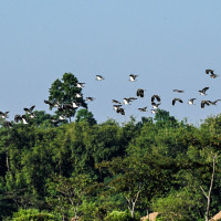 मध्याह्न १२ बजेसम्म ३५ प्रतिशत मत खस्यो : आयोग