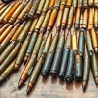 बेवारिसे  अवस्थामा ११ राउण्ड गोली फेला