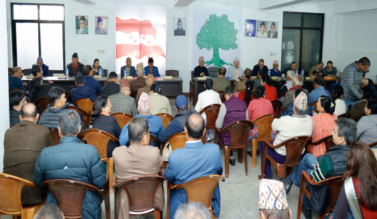 सरकारका निर्णय न्यायिक परीक्षणमा