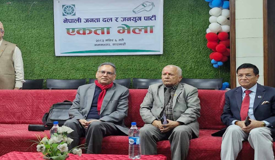 विराटनगरको लगातार दोस्रो जित : काठमाण्डु पाँच विकेटले पराजित