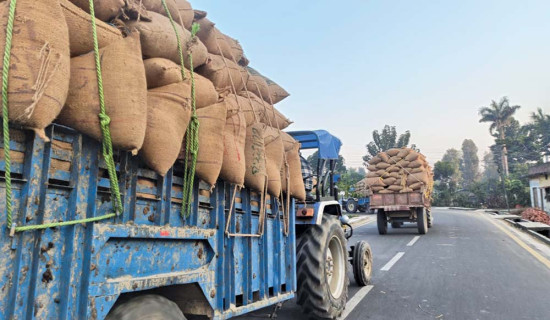 धान बिक्री नहुँदा किसान समस्यामा