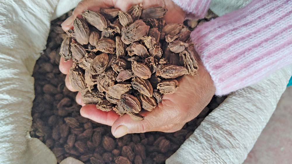 वास्तविक मूल्यभन्दा आधा कमको बिल