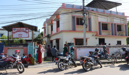 थपिएका मतदाता अधिकांश युवा