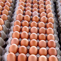 खाल्टै खाल्टा भएको विद्युतचोक सडक कालोपत्रे