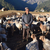 पहिचान जोगाउने मौलिक मार्ग