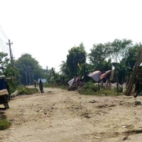 थपिएका मतदाता अधिकांश युवा