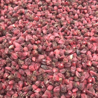 तोडफोड गर्नेविरुद्ध जाहेरी