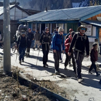 क्यान्सर तथा मिर्गौलारोगी साढे तीन सयभन्दा बढी