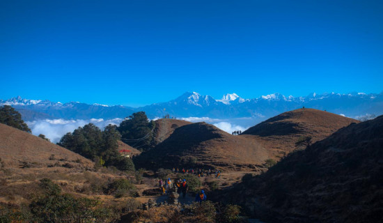 गैँडासँग पर्यटकको जम्का भेट