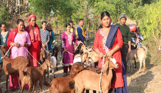पत्रकारलाई पुँजीबजारसम्बन्धी तालिम