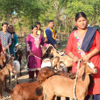 गाउँपालिकालाई चीनबाट तीन करोड १२ लाखकाे सामग्री सहयोग