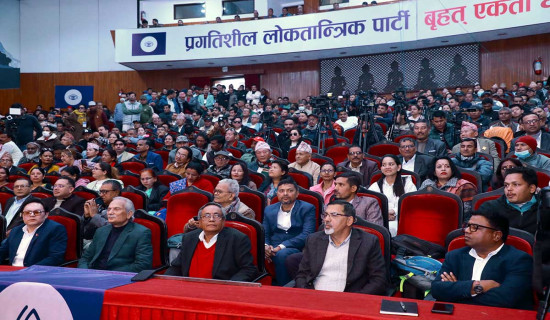 प्रगतिशील लोकतान्त्रिक पार्टी एकता घोषणा