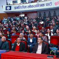विराटनगरमा टेन्टकै इजलासबाट दश वटा मुद्दा फर्छ्याेट