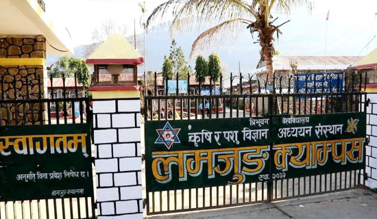 कैलालीमा सात प्रतिशतले घट्यो धान उत्पादन