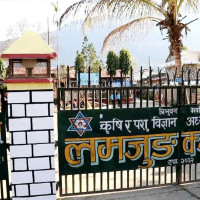 पालुङटारको चुक्ति खोलामा मोटरेबल पुल निर्माण