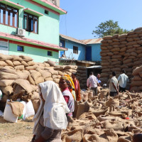 खेलाडी आफैँले गरे क्रिकेट पिच निर्माण