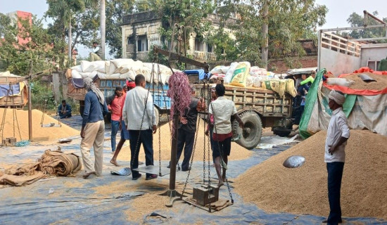 एक करोड ३८ लाख रुपियाँको धान खरिद