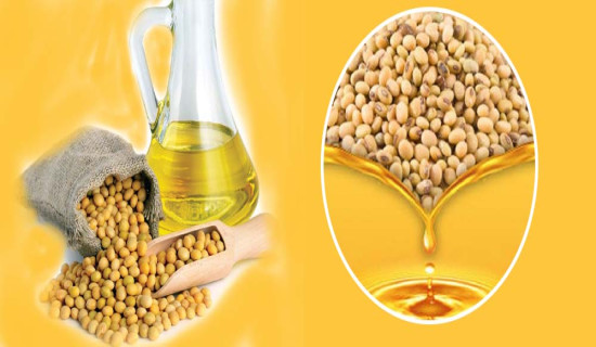 सूर्यविनायक–धुलिखेल सडक निर्माण : पचास प्रतिशत सम्पन्न