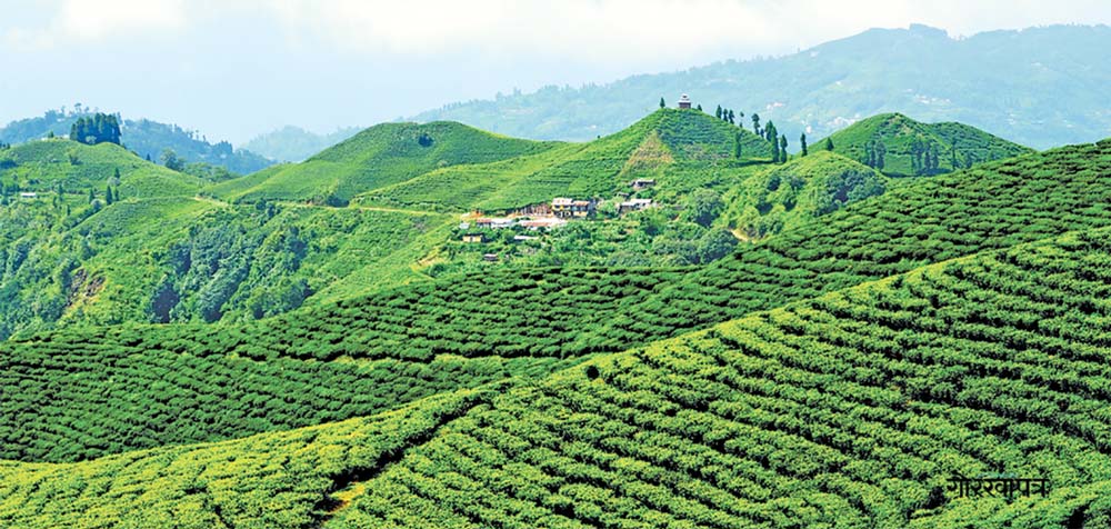 सुनसान बन्यो कोशी पर्यटन वर्ष