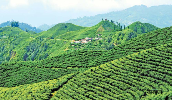 सुनसान बन्यो कोशी पर्यटन वर्ष