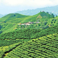 पुनर्निर्माण कोषमा एक करोड छयहत्तर लाख सहयोग