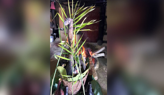 मधेशमा राजनीतिक अस्थिरता