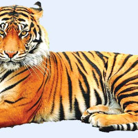 बर्दघाटमा शैक्षिक सुधारको अभियान : पढाउने होइन, सिकाउने’ अभियान