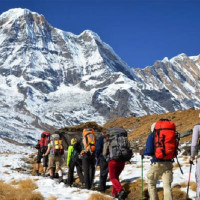 कैलालीमा धान खरिदको कोटा बढ्यो