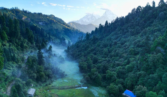 कैलालीमा धान खरिदको कोटा बढ्यो