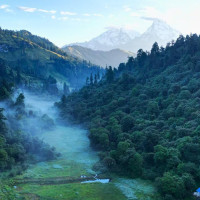 समावेशीकरणको दिशामा नयाँ फड्को : गोरखापत्रद्वारा प्रकाशित भोजपुरी  भाषा