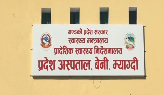 छुट्टाछुट्टै सडक दुर्घटनामा तीन जनाको मृत्यु