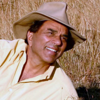 अमरगढी नगरपालिकामा काँग्रेस विजयी