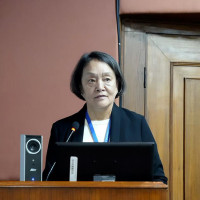 गाजामा युद्धविराम उल्लङ्घन जारी, चार जना प्यालेस्टिनीको मृत्यु