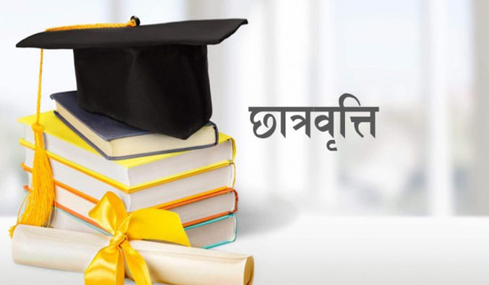 दिदीबहिनीको कीर्तिमान