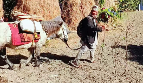 नेपालको कर प्रणालीमा गुगल दर्ता